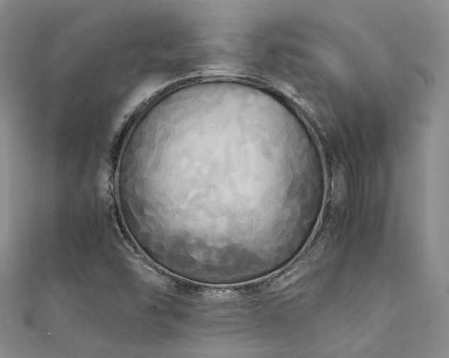 X0000111371454200907101201