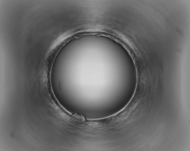 X0000111371456200907101201