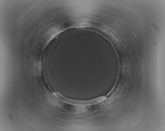 X0000111371457200907101201
