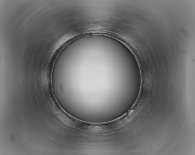X0000111371458200907101201