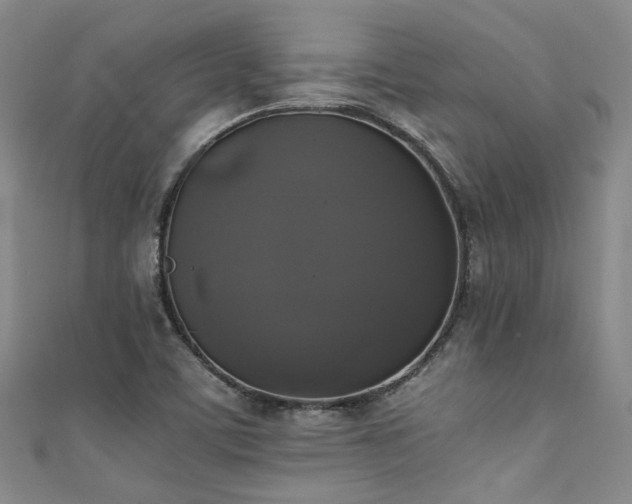 X0000111371459200907101201