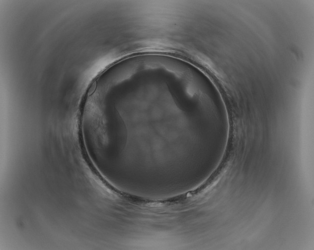 X0000111371463200907101201