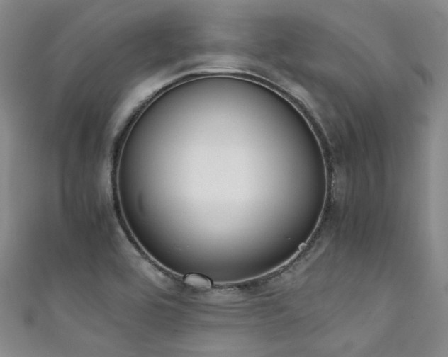 X0000111371464200907101201