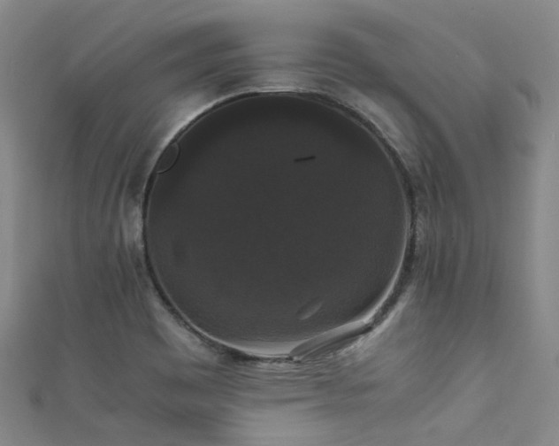 X0000111371465200907101201