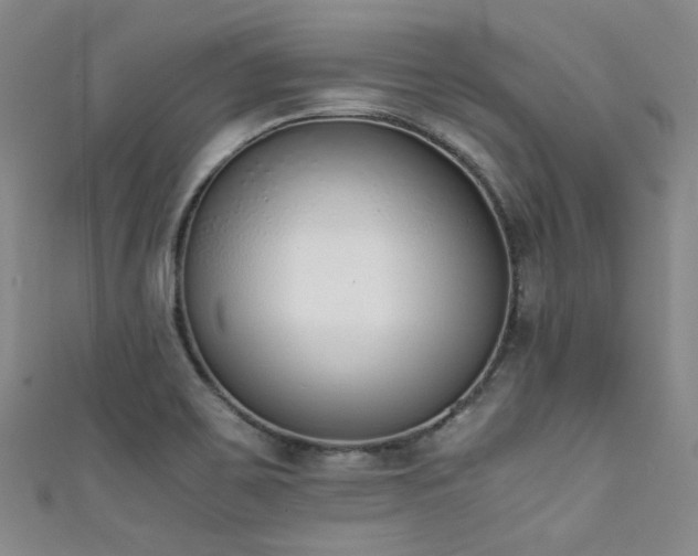 X0000111371467200907101201