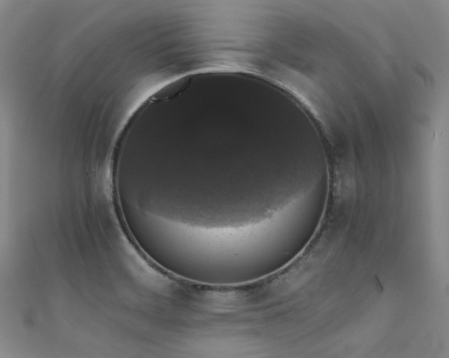 X0000111371468200907101201