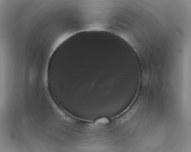 X0000111371469200907101201
