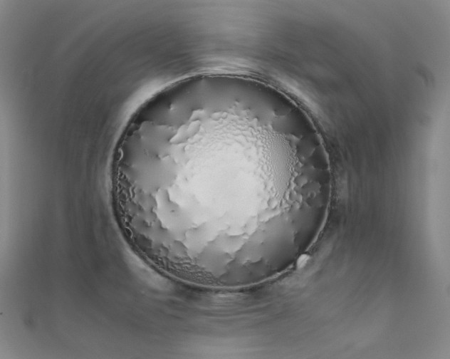 X0000111371471200907101201