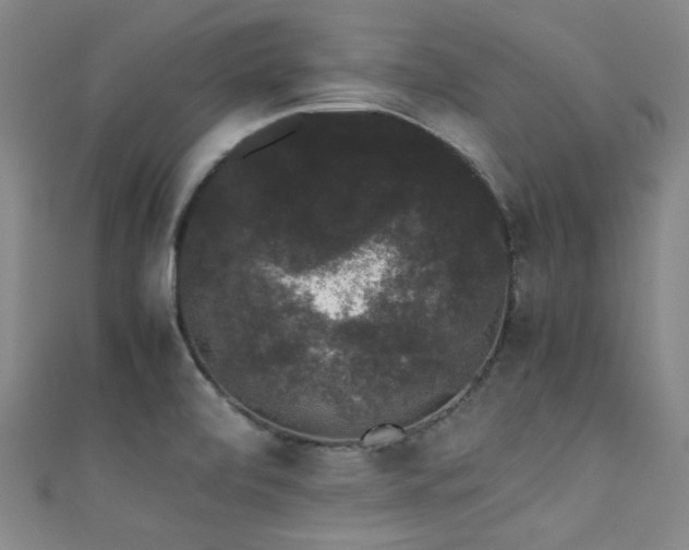 X0000111371472200907101201