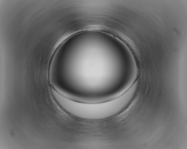 X0000111371473200907101201
