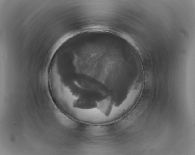X0000111371474200907101201