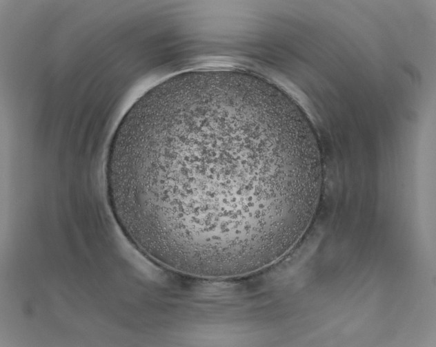 X0000111371475200907101201