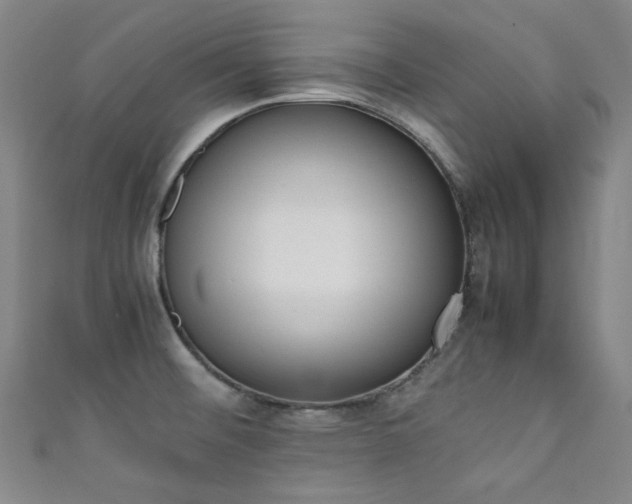 X0000111371476200907101201