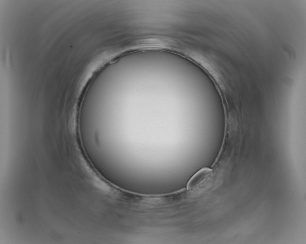 X0000111371477200907101201