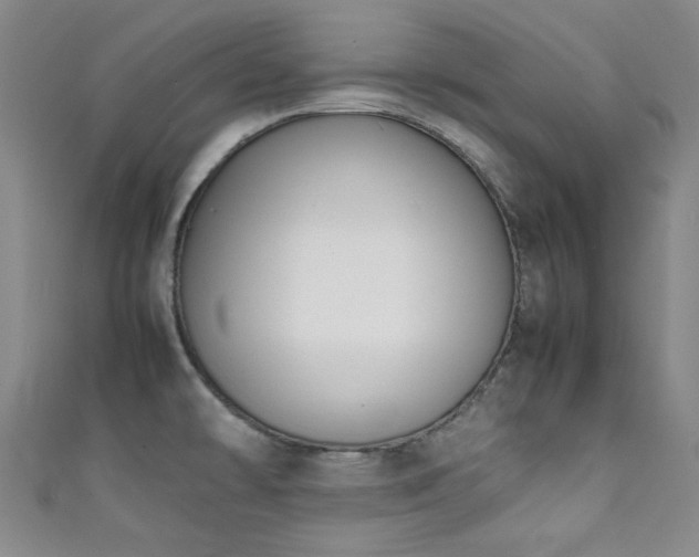 X0000111371478200907101200