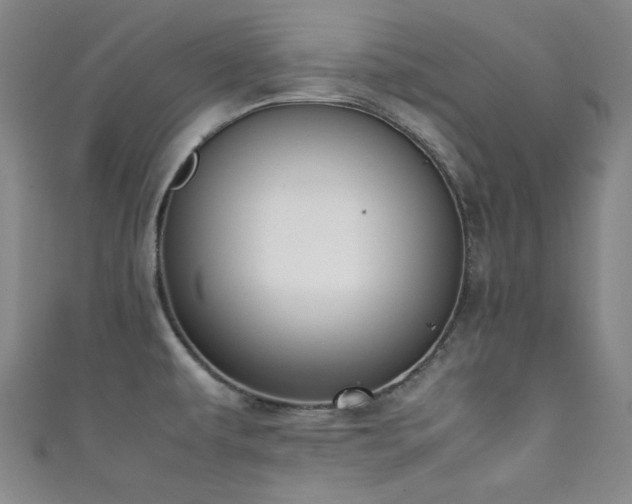 X0000111371479200907101200