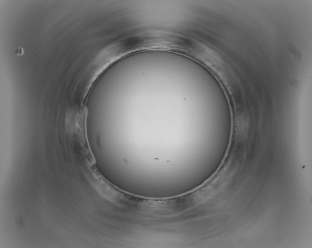 X0000111371481200907101200