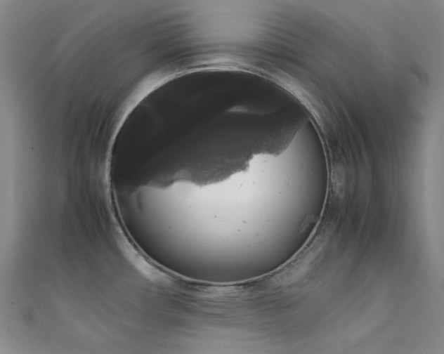 X0000111371482200907101200