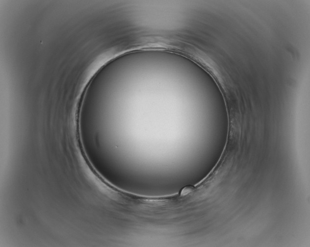 X0000111371483200907101200