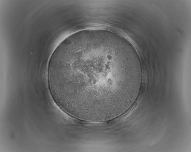 X0000111371487200907101200