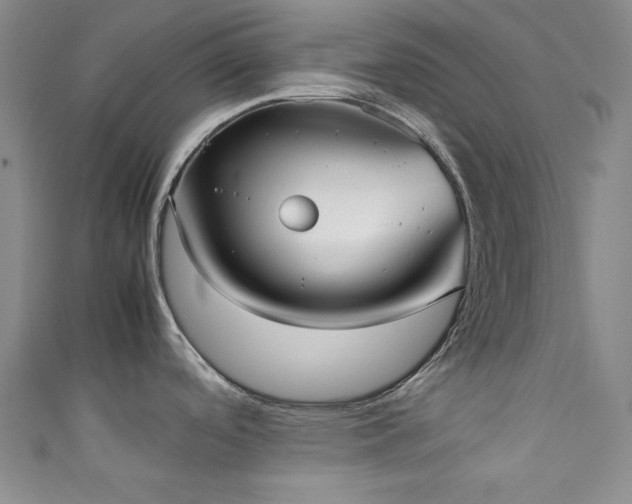 X0000111371488200907101200