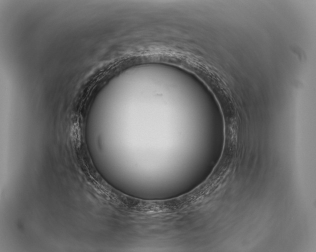 X0000111371493200907101200