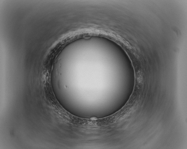 X0000111371495200907101200