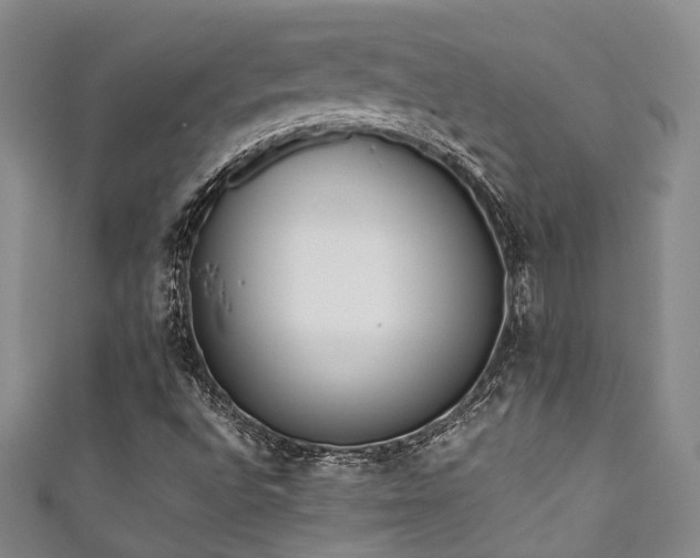 X0000111371496200907101200