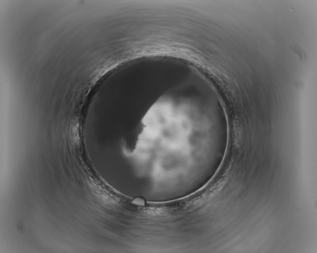 X0000111371497200907101200