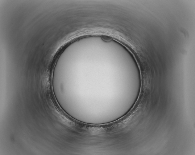 X0000111371498200907101200