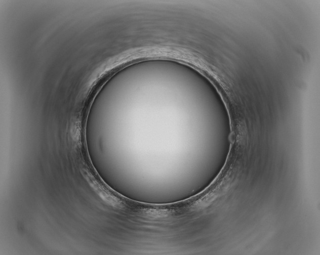 X0000111371499200907101200