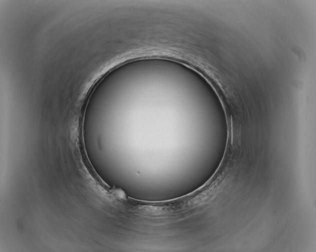 X0000111371500200907101200