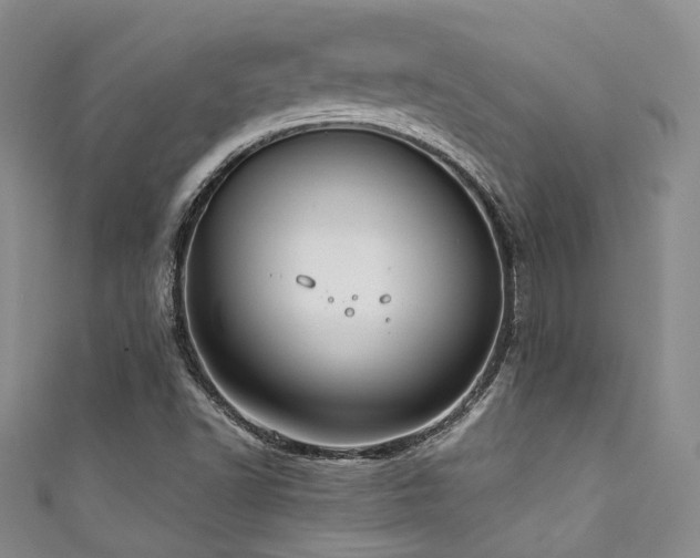 X0000111371502200907101200