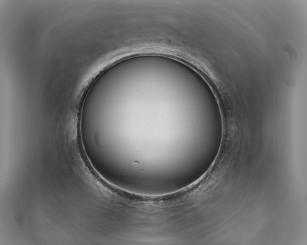 X0000111371504200907101200
