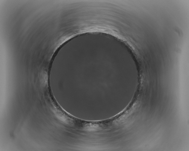 X0000111371505200907101200
