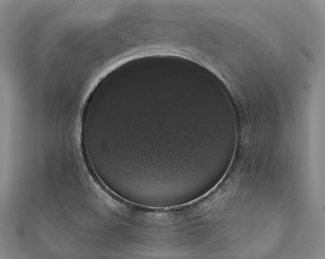 X0000111371508200907101200