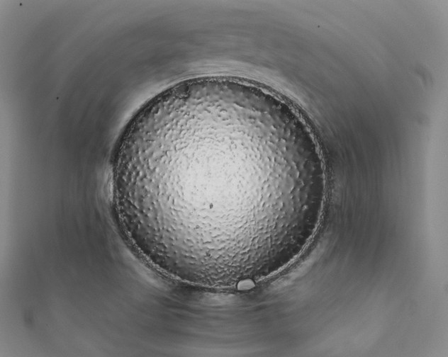X0000111371509200907101200