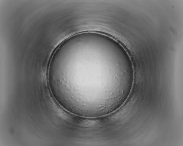 X0000111371513200907101200