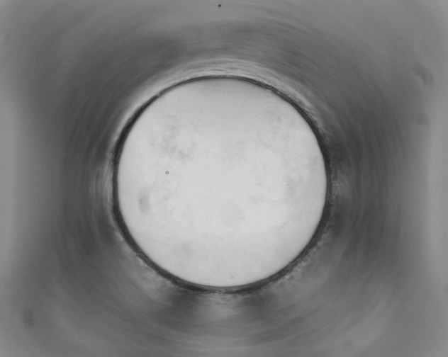 X0000111371514200907101200