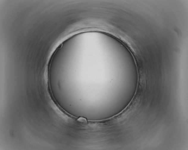 X0000111371516200907101200