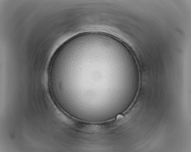 X0000111371517200907101200