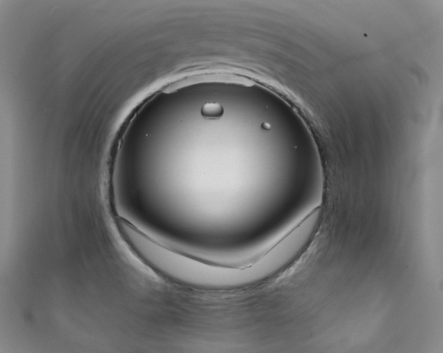 X0000111371518200907101200