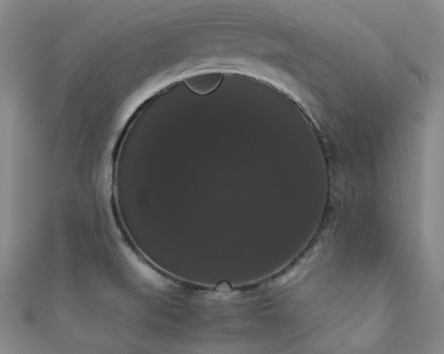 X0000111371519200907101200