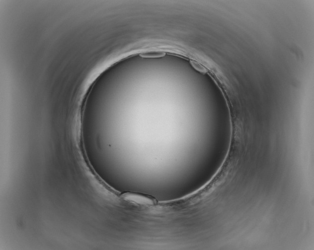 X0000111371520200907101200