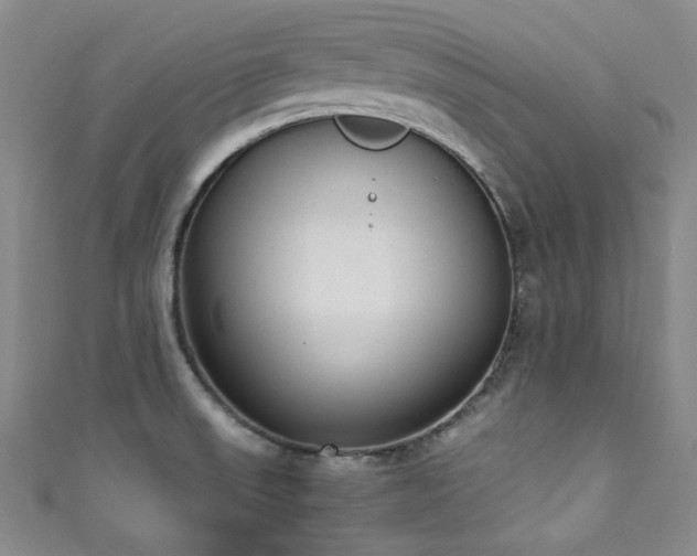 X0000111371523200907101200
