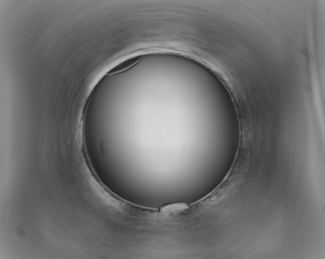 X0000111371524200907101200