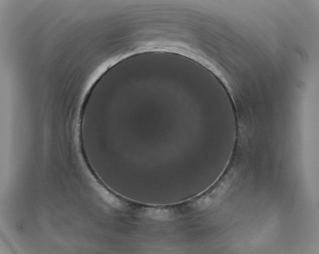 X0000111371525200907101200