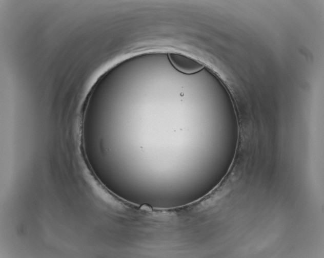 X0000111371526200907101200