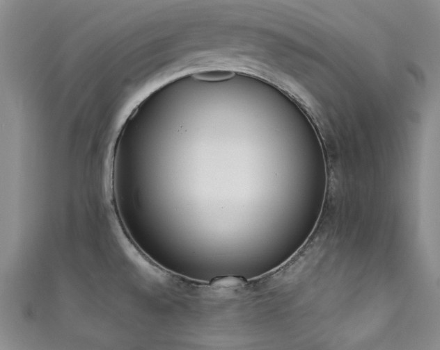 X0000111371528200907101200