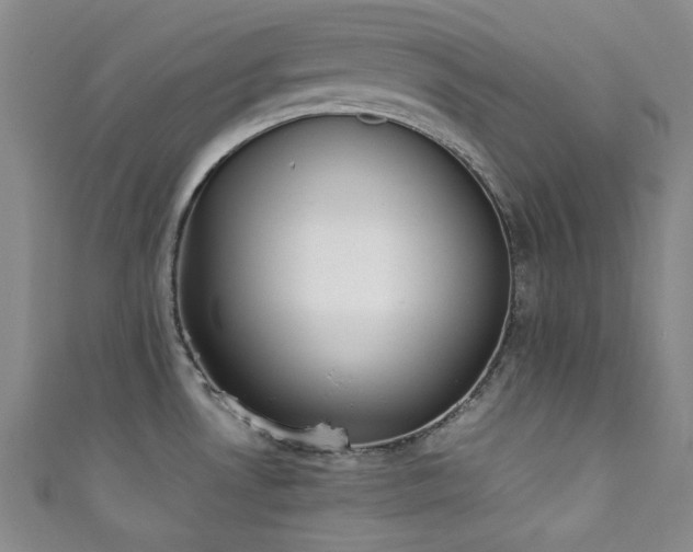 X0000111371530200907101200